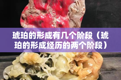 琥珀的形成有幾個(gè)階段（琥珀的形成經(jīng)歷的兩個(gè)階段）
