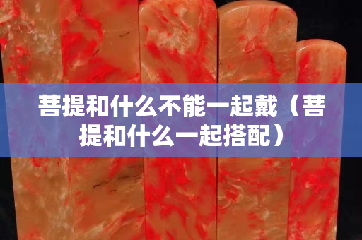 菩提和什么不能一起戴（菩提和什么一起搭配）