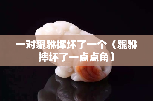 一對貔貅摔壞了一個（貔貅摔壞了一點點角）