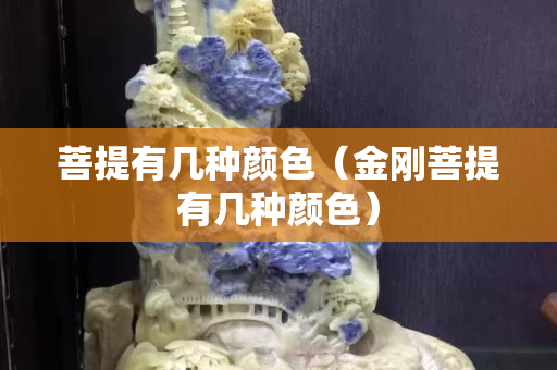 菩提有幾種顏色（金剛菩提有幾種顏色）
