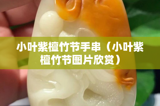 小葉紫檀竹節(jié)手串（小葉紫檀竹節(jié)圖片欣賞）