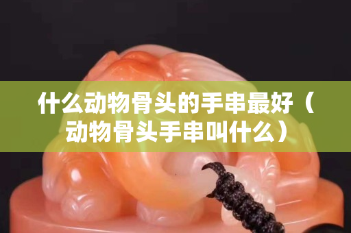 什么動物骨頭的手串最好（動物骨頭手串叫什么）