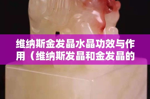 維納斯金發(fā)晶水晶功效與作用（維納斯發(fā)晶和金發(fā)晶的區(qū)別）