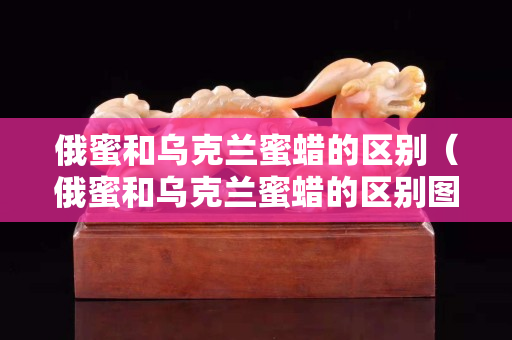 俄蜜和烏克蘭蜜蠟的區(qū)別（俄蜜和烏克蘭蜜蠟的區(qū)別圖片）