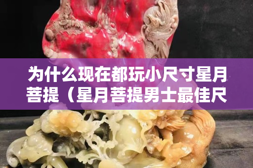 為什么現(xiàn)在都玩小尺寸星月菩提（星月菩提男士最佳尺寸）