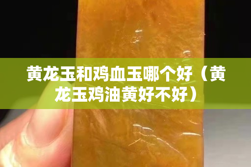 黃龍玉和雞血玉哪個好（黃龍玉雞油黃好不好）