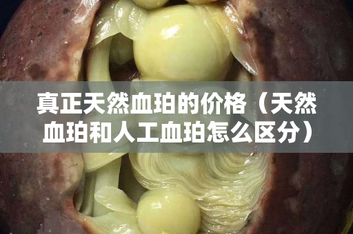 真正天然血珀的價格（天然血珀和人工血珀怎么區(qū)分）