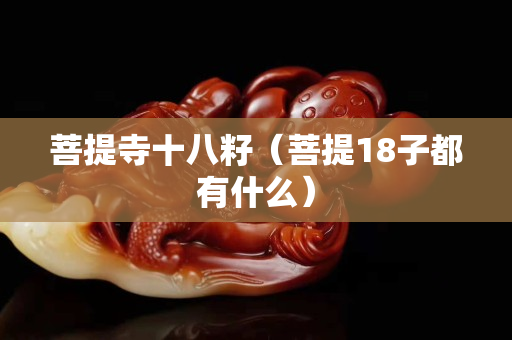 菩提寺十八籽（菩提18子都有什么）