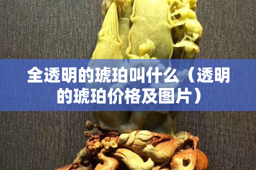 全透明的琥珀叫什么（透明的琥珀價格及圖片）