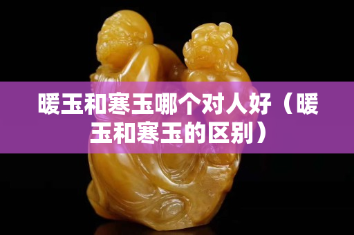 暖玉和寒玉哪個對人好（暖玉和寒玉的區(qū)別）