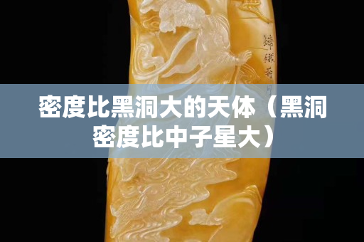 密度比黑洞大的天體（黑洞密度比中子星大）