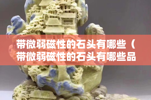 帶微弱磁性的石頭有哪些（帶微弱磁性的石頭有哪些品種）