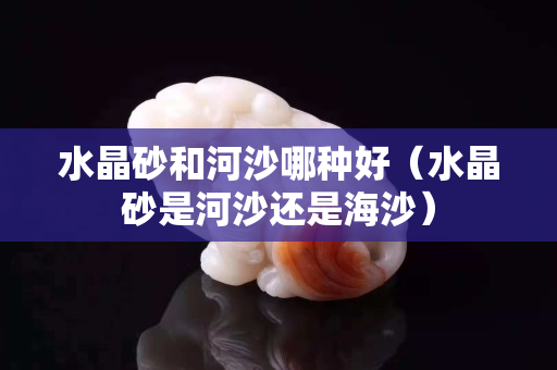 水晶砂和河沙哪種好（水晶砂是河沙還是海沙）