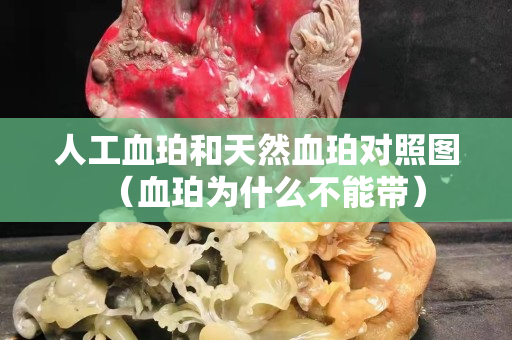 人工血珀和天然血珀對照圖（血珀為什么不能帶）