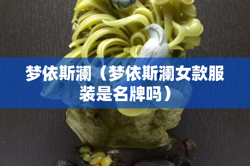 夢依斯瀾（夢依斯瀾女款服裝是名牌嗎）