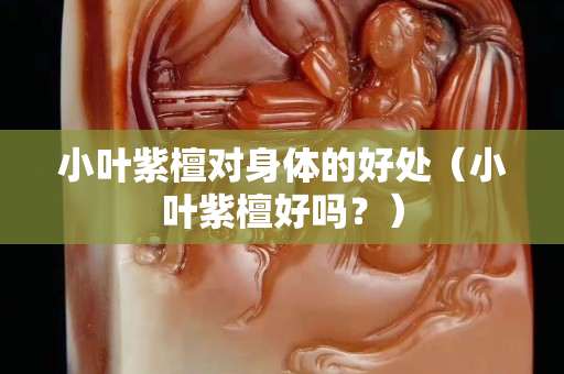 小葉紫檀對身體的好處（小葉紫檀好嗎？）