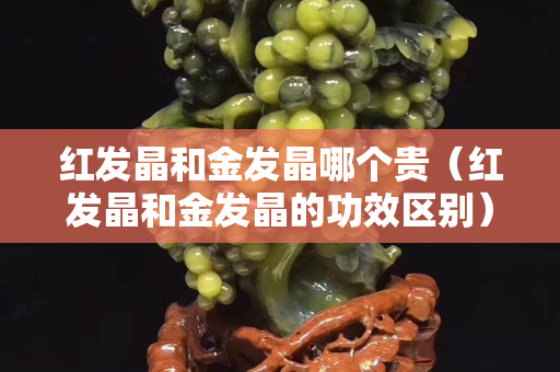 紅發(fā)晶和金發(fā)晶哪個貴（紅發(fā)晶和金發(fā)晶的功效區(qū)別）