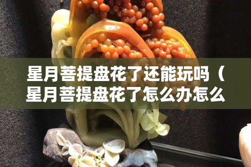星月菩提盤花了還能玩嗎（星月菩提盤花了怎么辦怎么彌補）