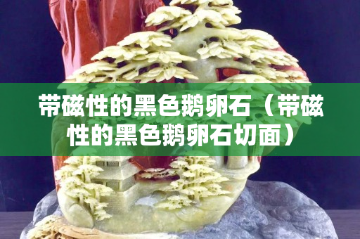 帶磁性的黑色鵝卵石（帶磁性的黑色鵝卵石切面）