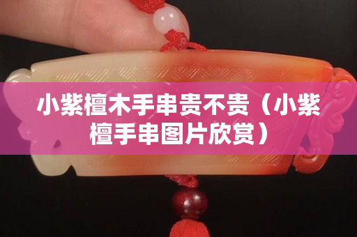 小紫檀木手串貴不貴（小紫檀手串圖片欣賞）