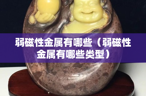 弱磁性金屬有哪些（弱磁性金屬有哪些類型）