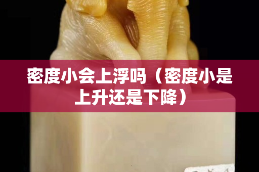 密度小會上浮嗎（密度小是上升還是下降）