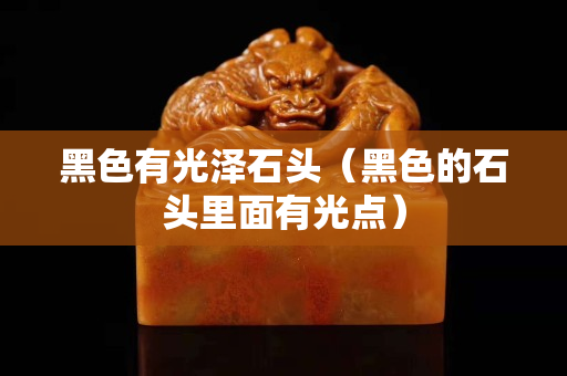 黑色有光澤石頭（黑色的石頭里面有光點）