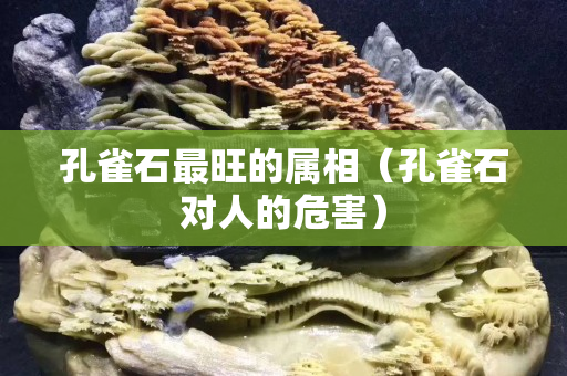 孔雀石最旺的屬相（孔雀石對人的危害）