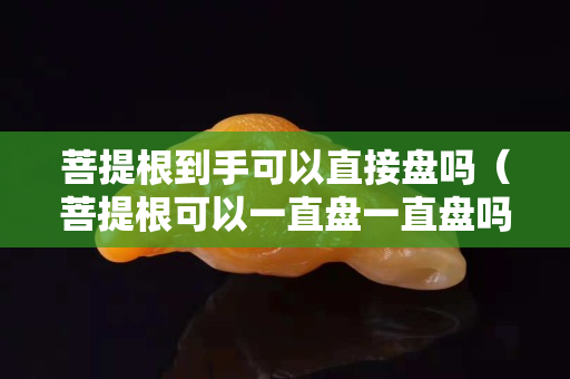 菩提根到手可以直接盤嗎（菩提根可以一直盤一直盤嗎）