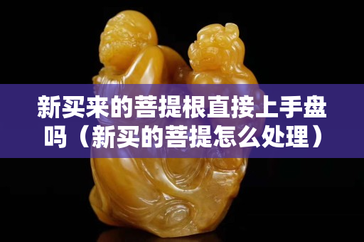 新買來的菩提根直接上手盤嗎（新買的菩提怎么處理）