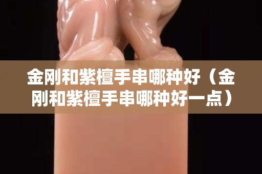 金剛和紫檀手串哪種好（金剛和紫檀手串哪種好一點）