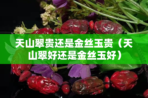 天山翠貴還是金絲玉貴（天山翠好還是金絲玉好）