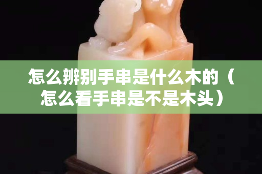 怎么辨別手串是什么木的（怎么看手串是不是木頭）