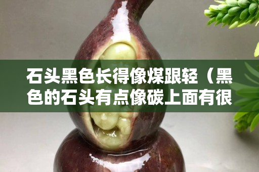 石頭黑色長得像煤跟輕（黑色的石頭有點像碳上面有很多小坑）