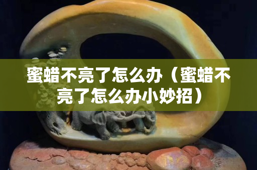 蜜蠟不亮了怎么辦（蜜蠟不亮了怎么辦小妙招）