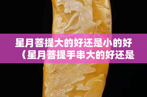 星月菩提大的好還是小的好（星月菩提手串大的好還是小的好）