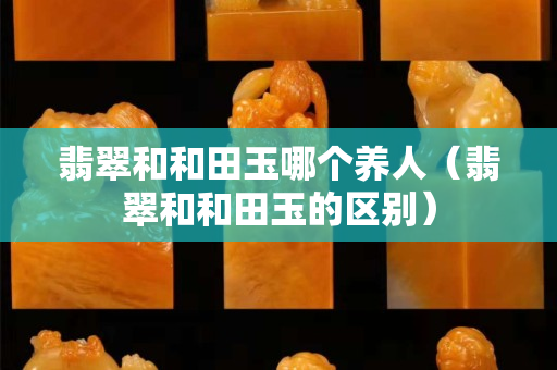翡翠和和田玉哪個養人（翡翠和和田玉的區別）