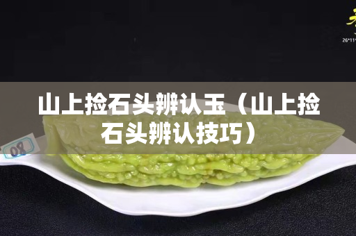 山上撿石頭辨認玉（山上撿石頭辨認技巧）