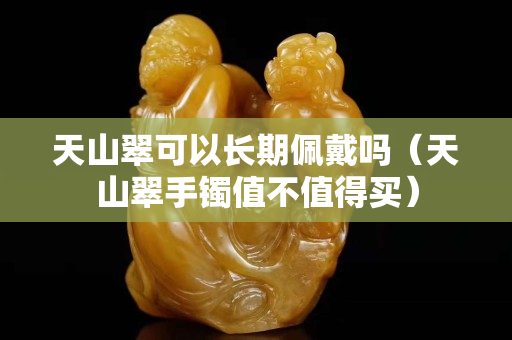 天山翠可以長期佩戴嗎（天山翠手鐲值不值得買）