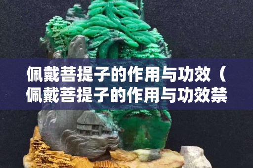 佩戴菩提子的作用與功效（佩戴菩提子的作用與功效禁忌）