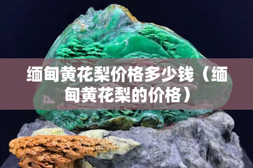 緬甸黃花梨價格多少錢（緬甸黃花梨的價格）