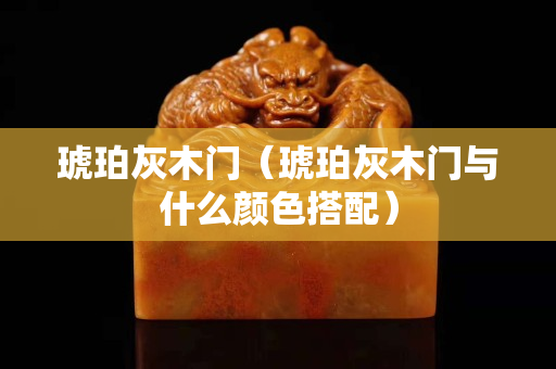 琥珀灰木門（琥珀灰木門與什么顏色搭配）