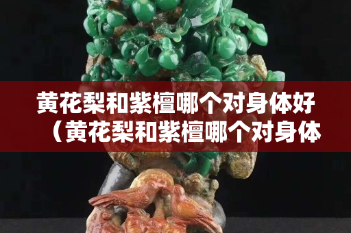 黃花梨和紫檀哪個對身體好（黃花梨和紫檀哪個對身體好點）