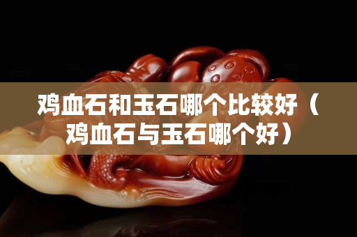 雞血石和玉石哪個(gè)比較好（雞血石與玉石哪個(gè)好）