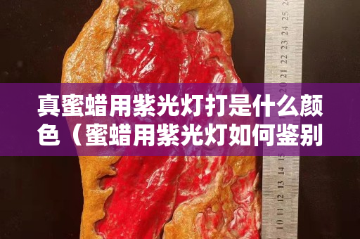 真蜜蠟用紫光燈打是什么顏色（蜜蠟用紫光燈如何鑒別）