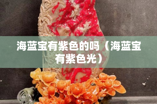 海藍寶有紫色的嗎（海藍寶有紫色光）