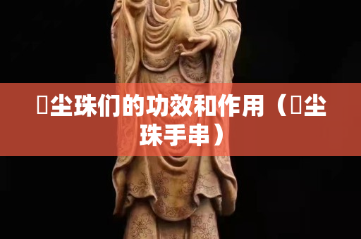 雮塵珠們的功效和作用（雮塵珠手串）