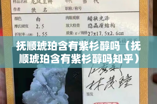 撫順琥珀含有紫杉醇嗎（撫順琥珀含有紫杉醇嗎知乎）