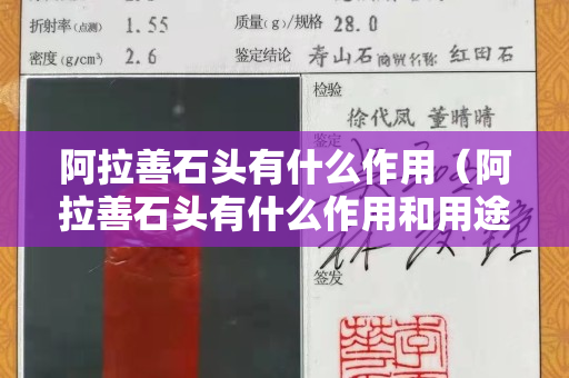 阿拉善石頭有什么作用（阿拉善石頭有什么作用和用途）