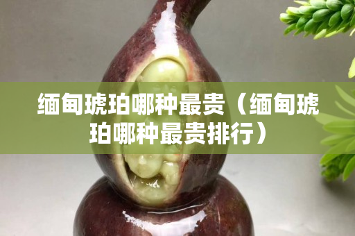 緬甸琥珀哪種最貴（緬甸琥珀哪種最貴排行）